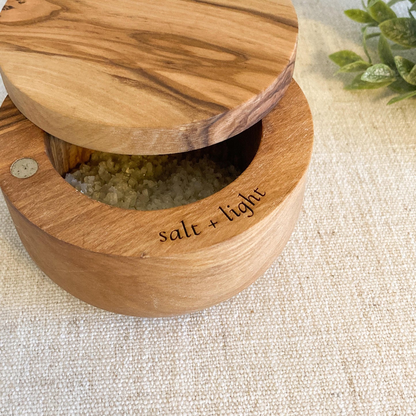 Salt + Light Olive Wood Salt Cellar